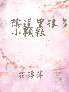 阴道里很多白色小颗粒