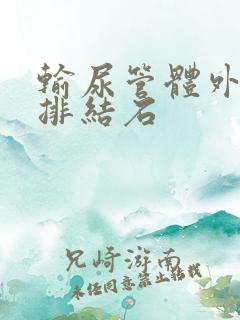 输尿管体外碎石排结石