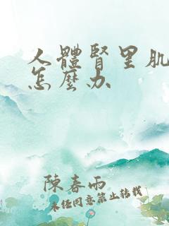 人体肾里肌酐高怎么办