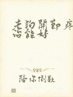 老狗关节疼怎么治能好