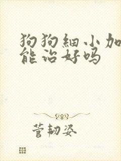 狗狗细小加犬瘟能治好吗