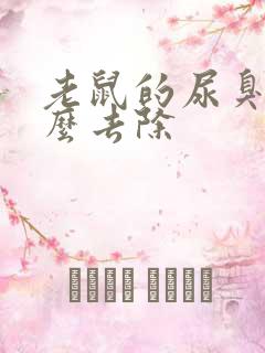 老鼠的尿臭味怎么去除