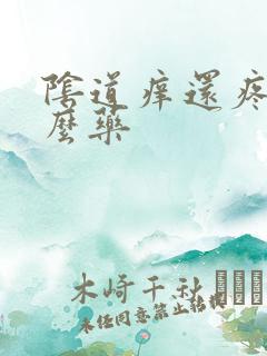 阴道痒还疼用什么药