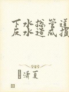 下水总管道堵了反水造成损失谁负责