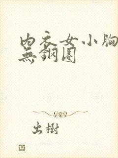 内衣女小胸聚拢无钢圈