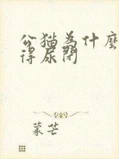 公猫为什么容易得尿闭