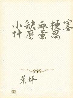 小缺血梗塞灶是什么意思