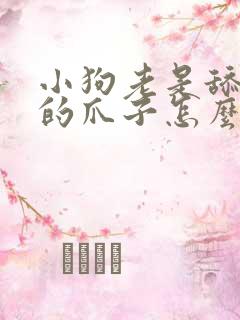 小狗老是舔自己的爪子怎么回事