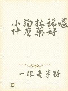 小狗拉稀呕吐用什么药好