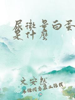 尿微量白蛋白高是什么