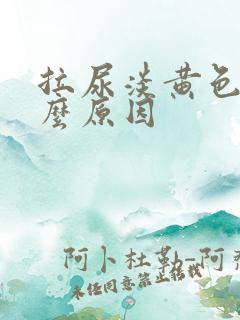 拉尿淡黄色是什么原因