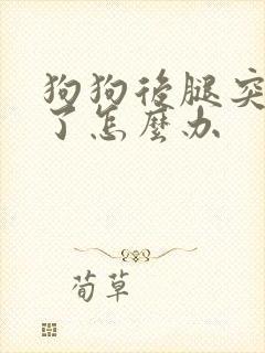 狗狗后腿突然瘸了怎么办