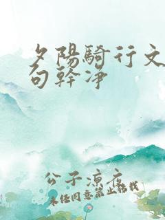 夕阳骑行文案短句干净