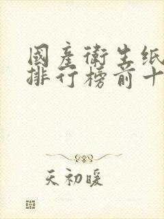 国产卫生纸品牌排行榜前十名