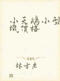 小天鹅小型洗衣机价格