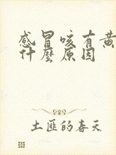 感冒咳有黄痰是什么原因