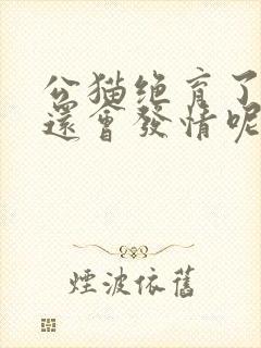 公猫绝育了怎么还会发情呢