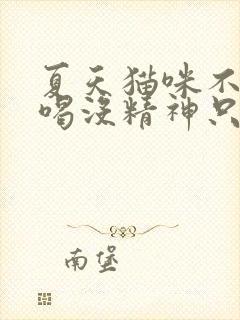 夏天猫咪不吃不喝没精神只趴着