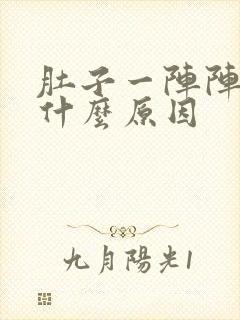 肚子一阵阵痛是什么原因