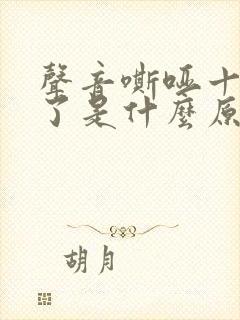 声音嘶哑十几天了是什么原因造成的