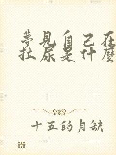 梦见自己在外面拉尿是什么预兆