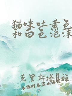 猫咪吐黄色液体和白色泡沫是怎么回事