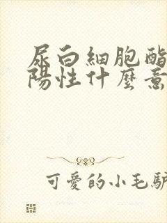 尿白细胞酯酶弱阳性什么意思女性体检