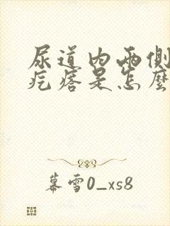 尿道内两侧有小疙瘩是怎么回事