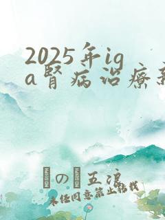 2025年iga肾病治疗新药