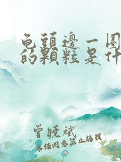 龟头边一圈白色的颗粒是什么