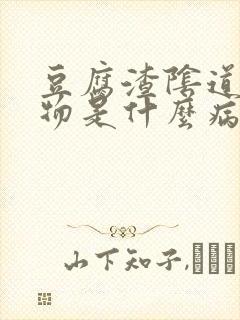 豆腐渣阴道分泌物是什么病