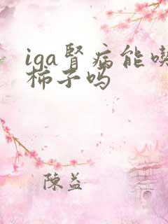 iga肾病能吃柿子吗