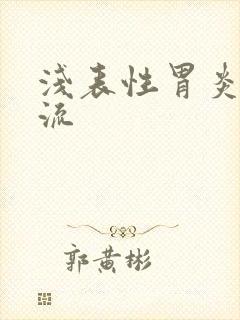 浅表性胃炎伴返流