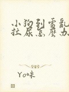 小狗到处乱拉屎拉尿怎么办