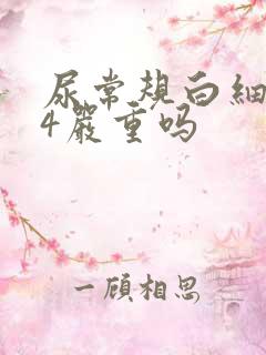 尿常规白细胞24严重吗