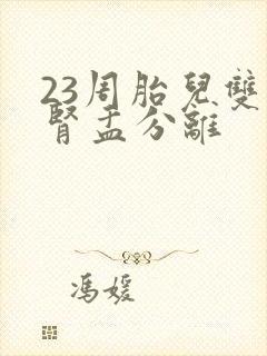 23周胎儿双肾肾盂分离