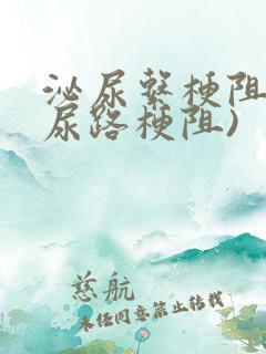 泌尿系梗阻 (尿路梗阻)