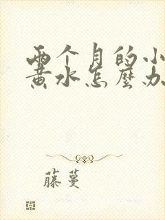 两个月的小猫吐黄水怎么办