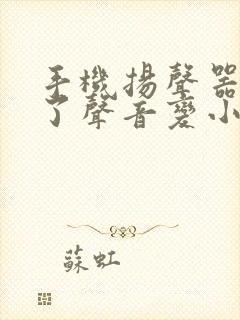 手机扬声器进水了声音变小了怎么办