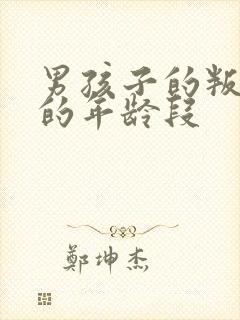 男孩子的叛逆期的年龄段