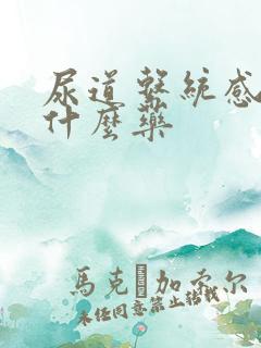 尿道系统感染吃什么药