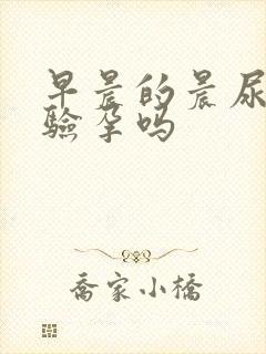 早晨的晨尿可以验孕吗