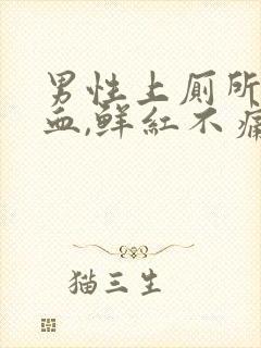 男性上厕所拉出血,鲜红不痛怎么办