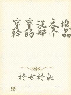 宝宝洗衣机带烘干的哪个品牌好