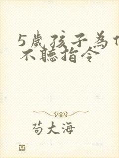 5岁孩子为什么不听指令