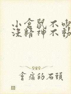 小仓鼠不吃不喝没精神不动蜷缩着