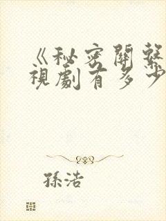 《秘密关系》电视剧有多少集