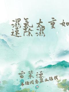 湿气太重如何快速除湿