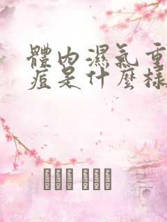 体内湿气重长痘痘是什么样的