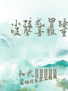 小孩感冒睡觉呼吸声音粗重呼哧呼哧的